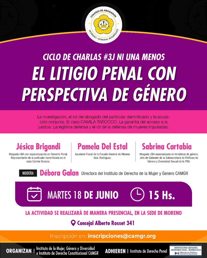 EL LITIGIO PENAL